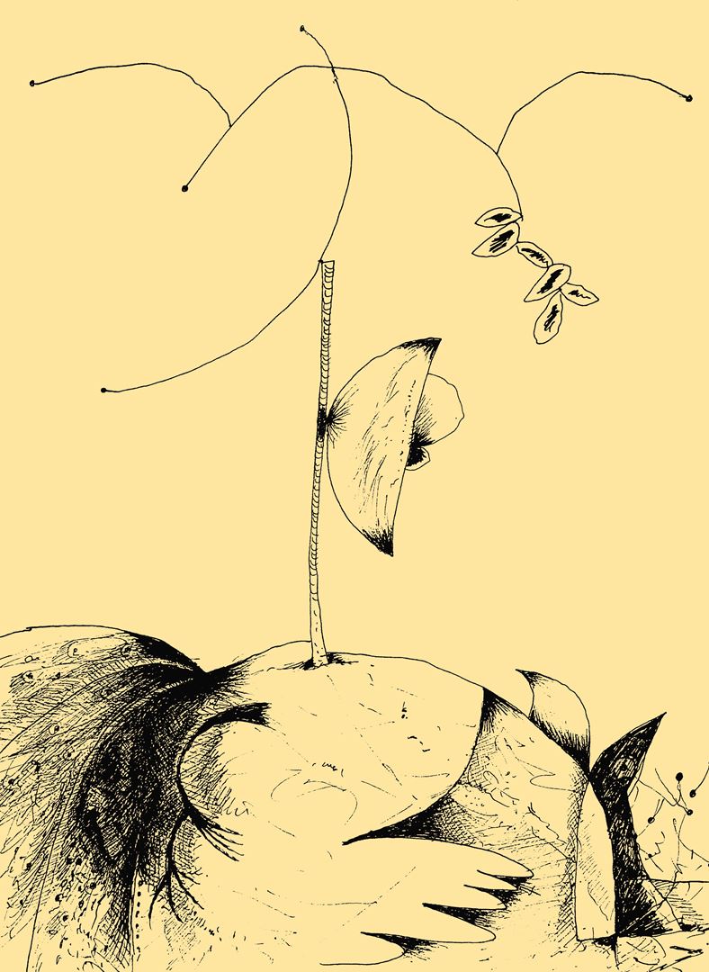 André Vereecken inkttekening -2002
