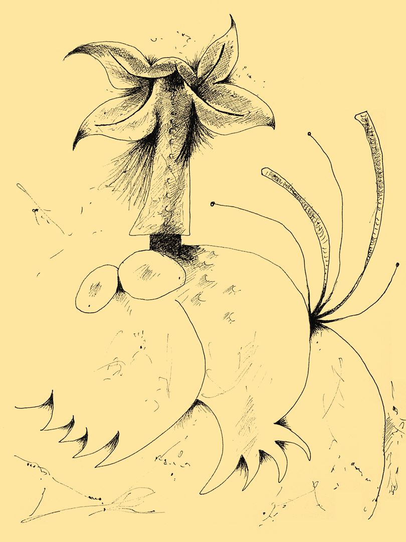 André Vereecken inkttekening -2002
5