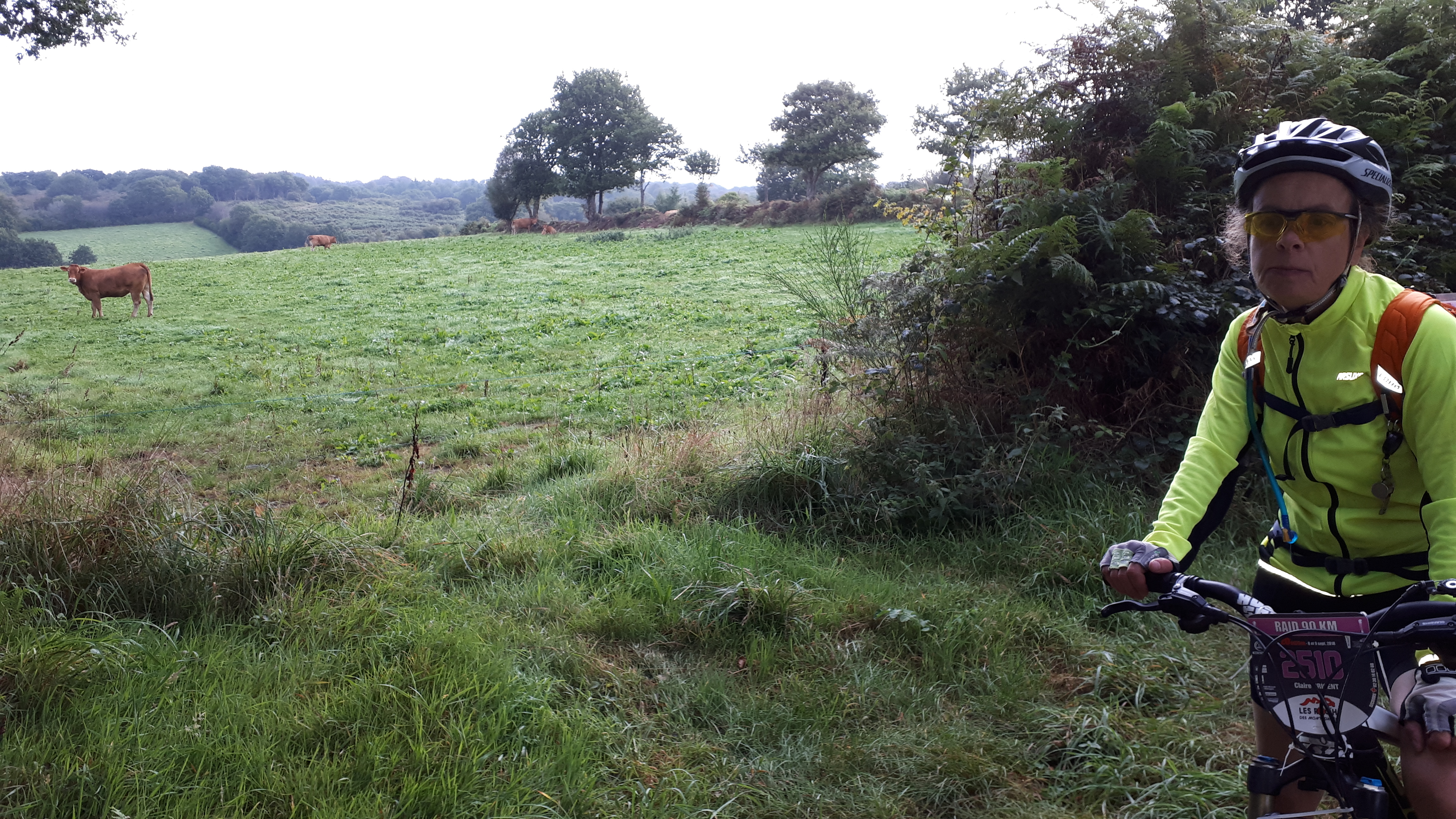 Mont d arree 2018 11 