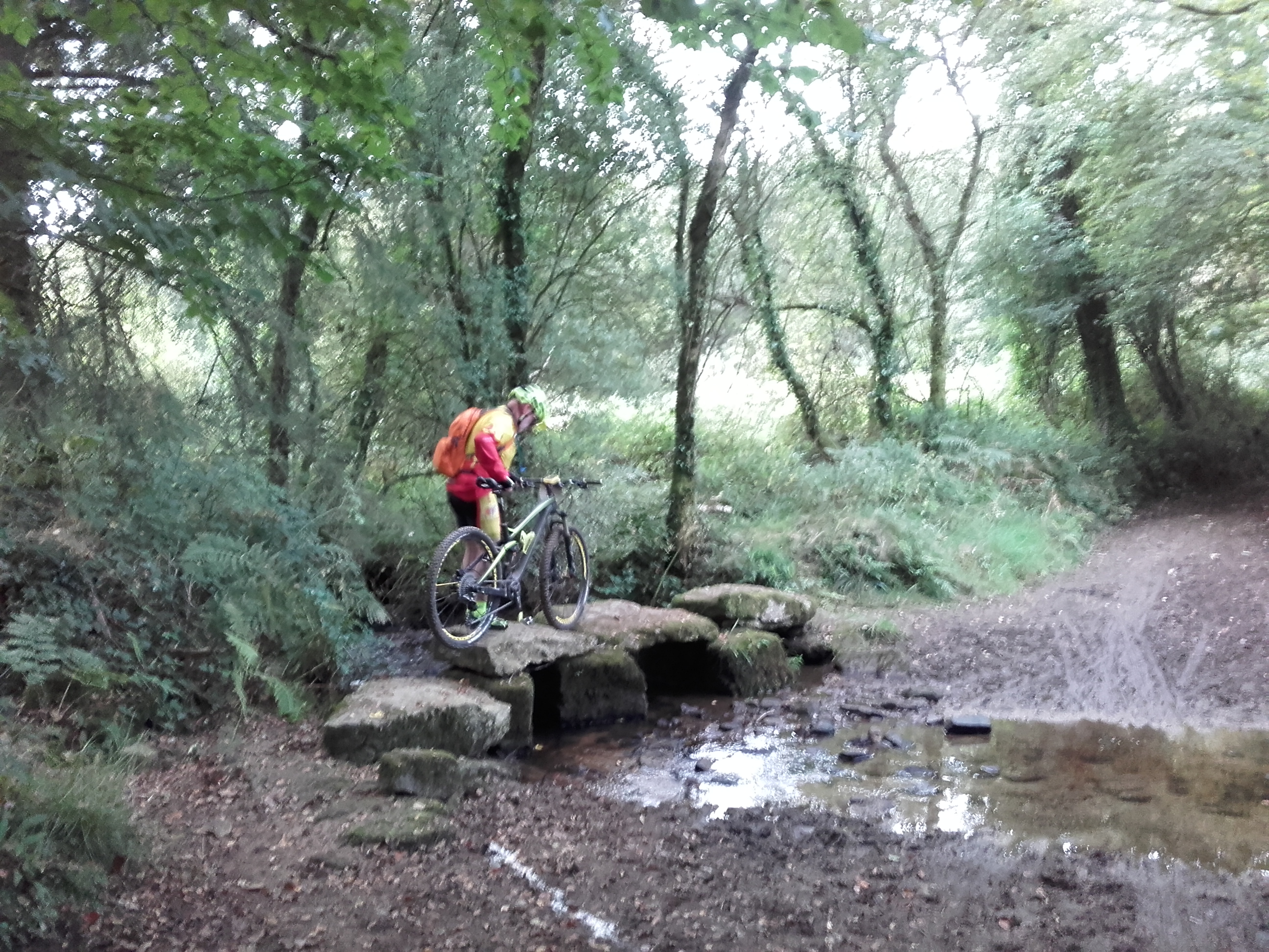 Mont d arree 2018 12 