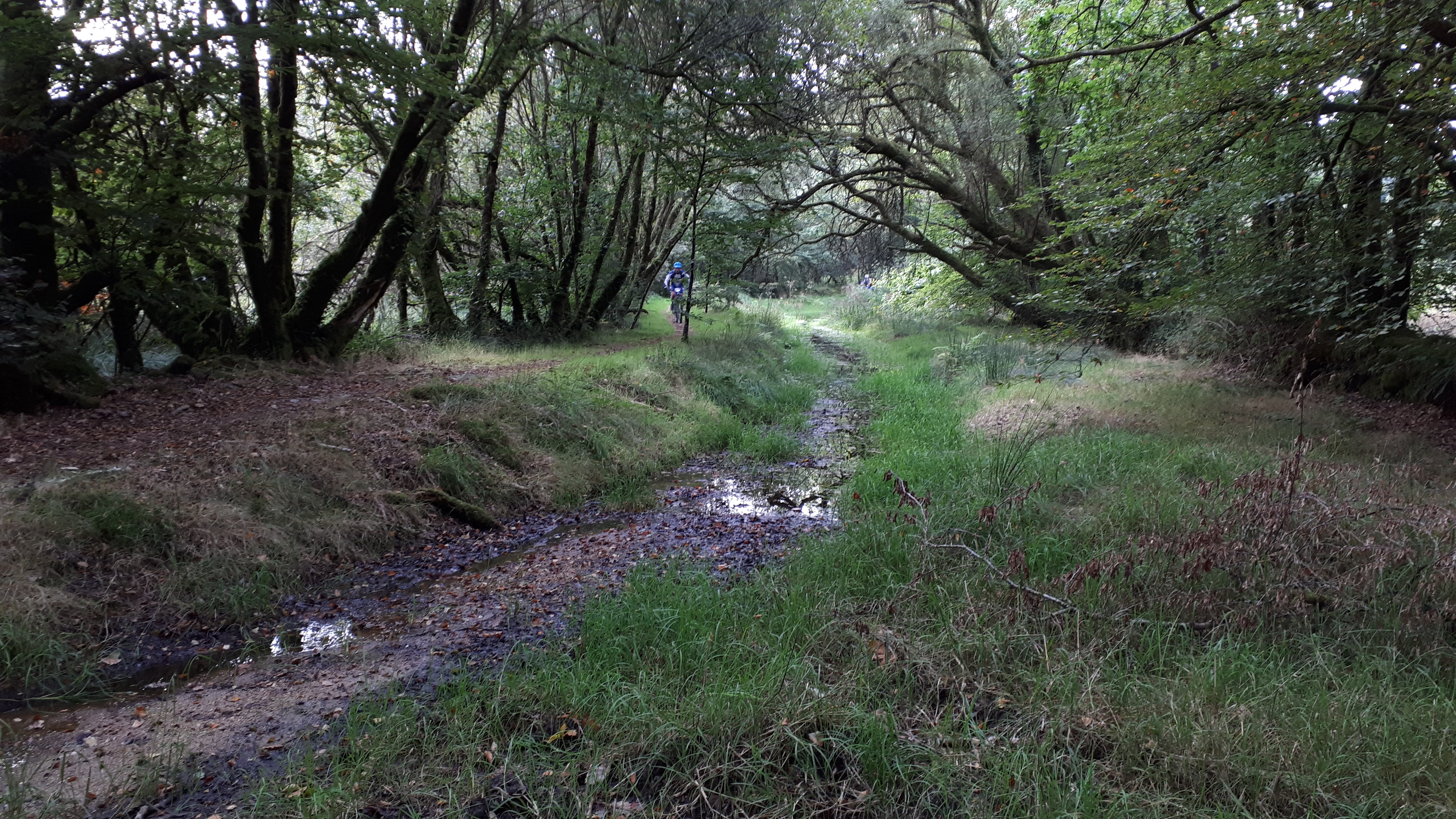 Mont d arree 2018 20 