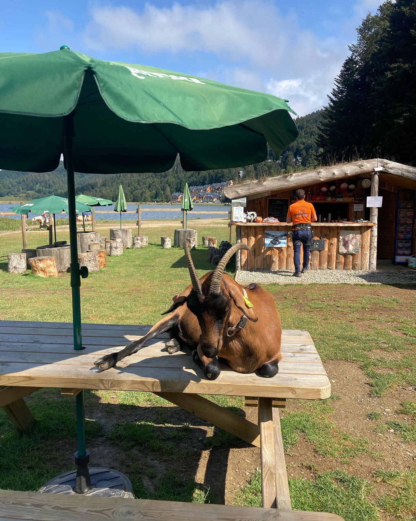 297632167 182985940792722 2646695556443066713 n