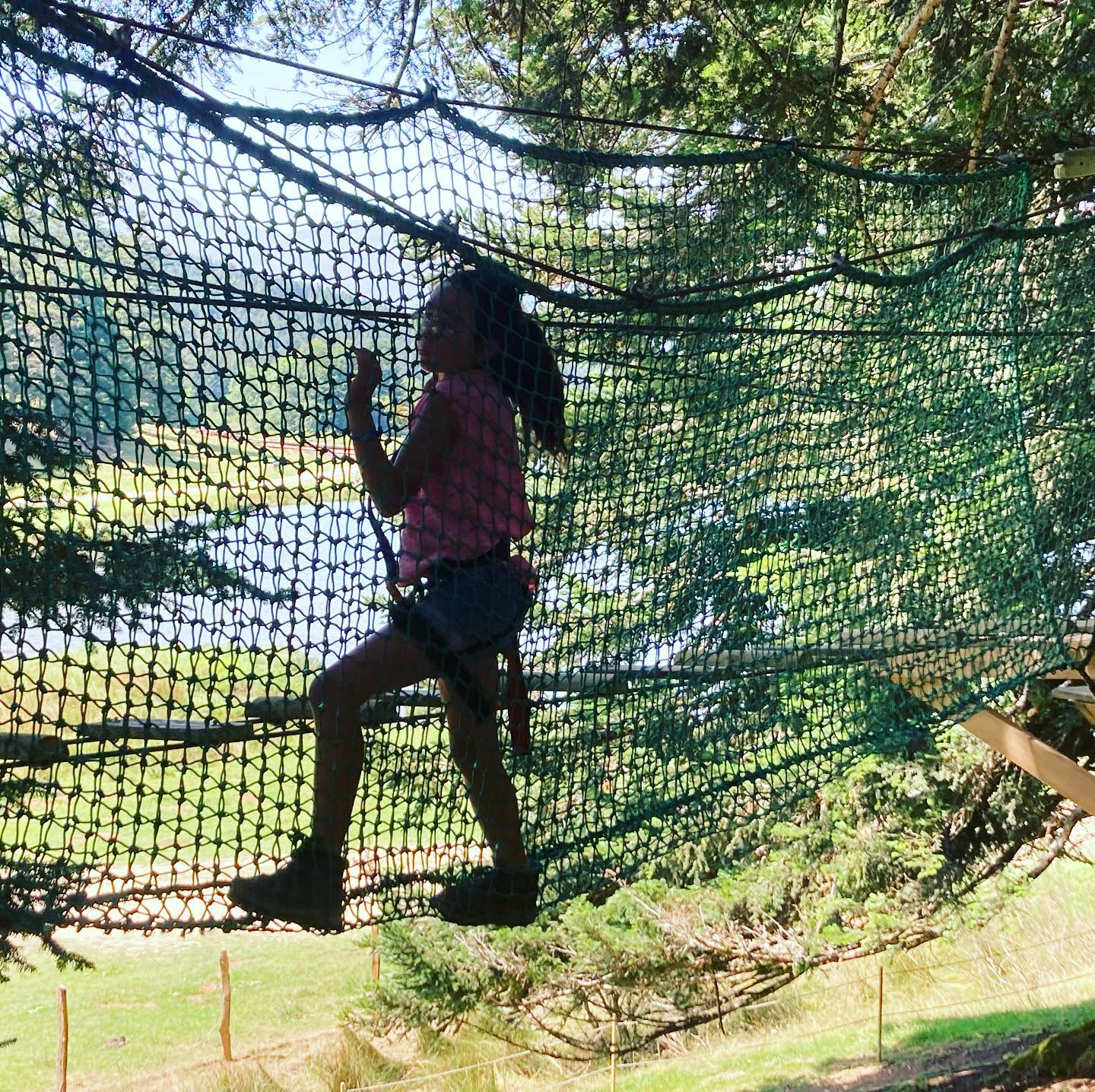 241826788 111464811278169 2462029708727962746 n