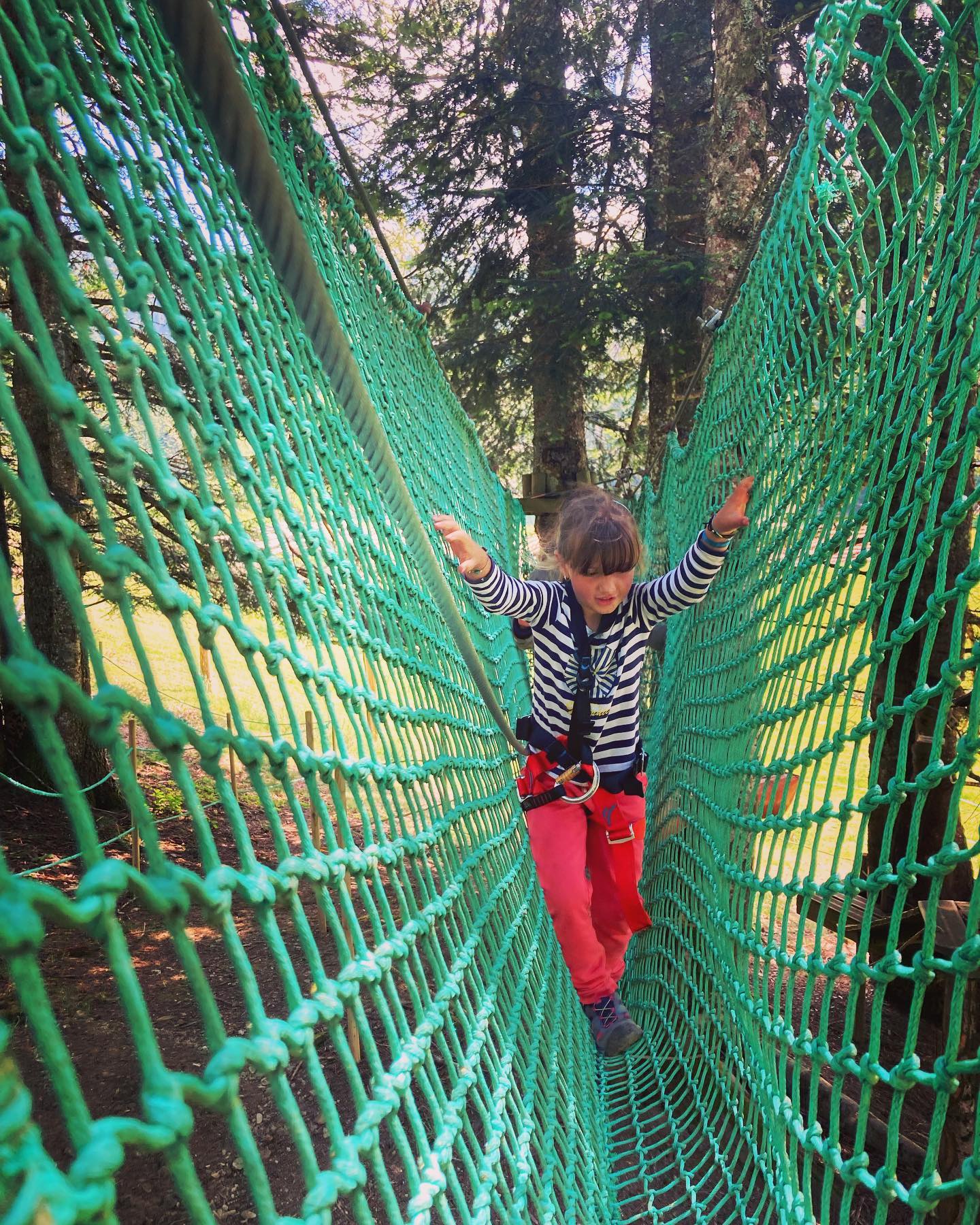 241393263 107507188340598 5375249421500061003 n