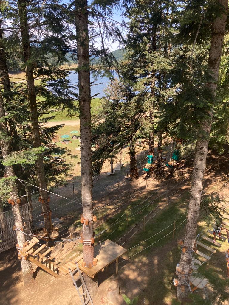 Photo 2023 06 15 10 33 28