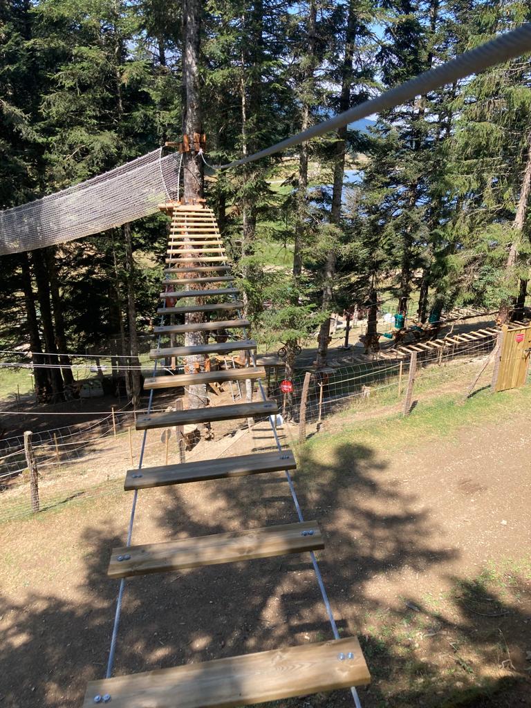 Photo 2023 06 15 10 33 28 2