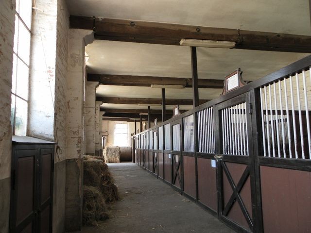 Haras9