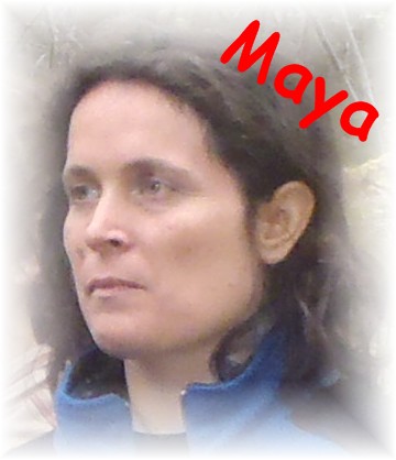 Maya
