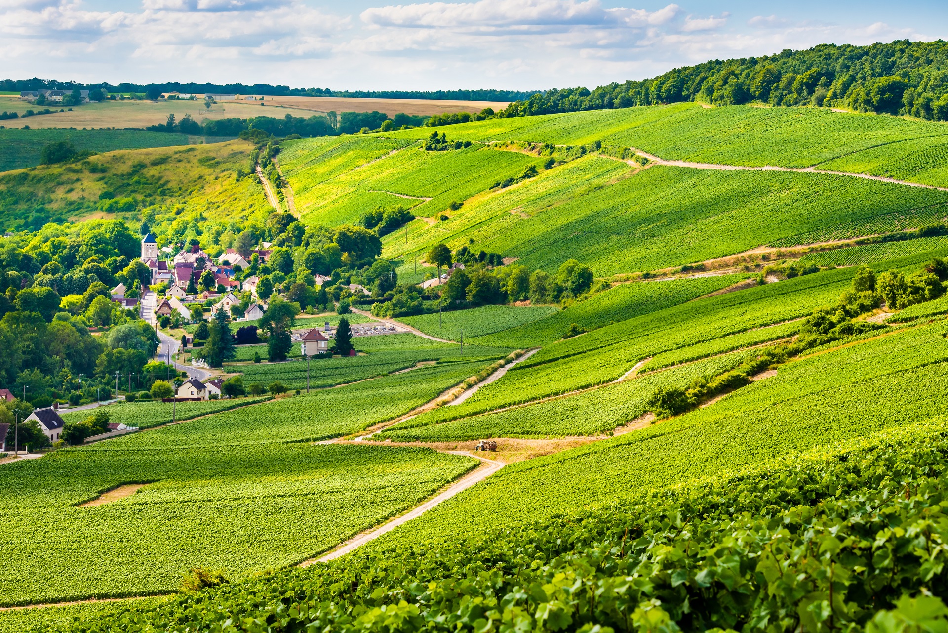 Panorama vignoble barzy sur marne Cambon 1 
