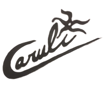 B9c162ba 530c 48e5 9248 ce63621f4c1d removebg preview