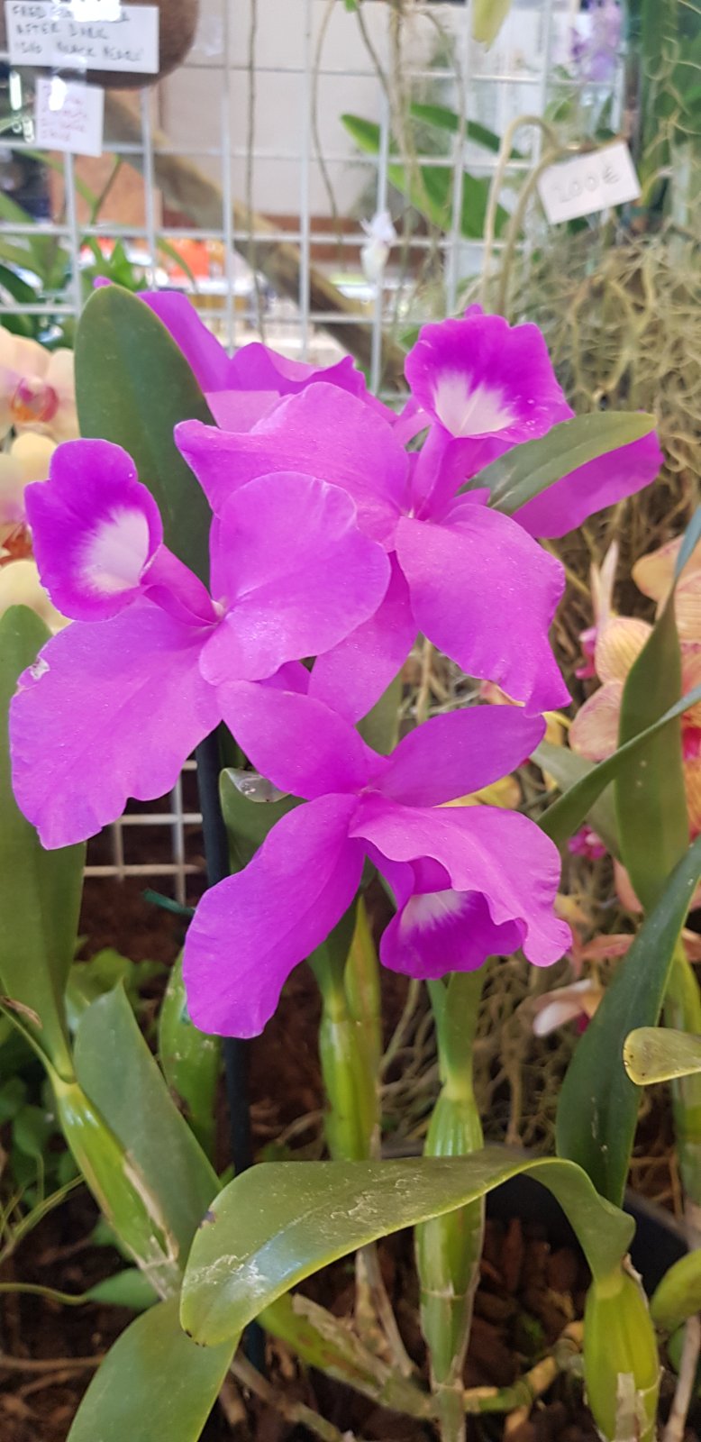 Media share 0 02 0a 75689fd8f516470abf8cab644054d17e6cf61fdfc1b4876fb5c4398d1bb5afe9 a075e23a 1401 4fbb b08f 03dd2bc85b30