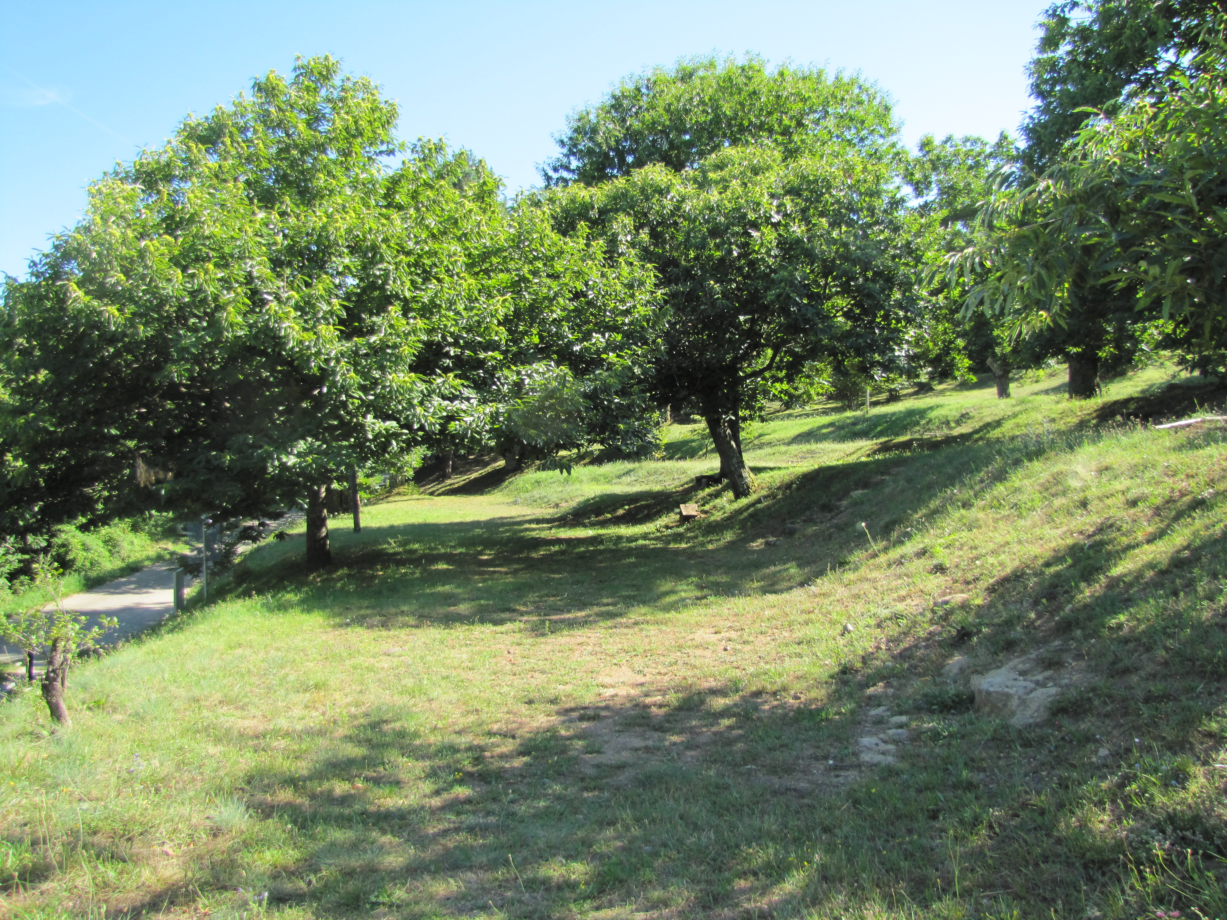 Muse e chataigneraie