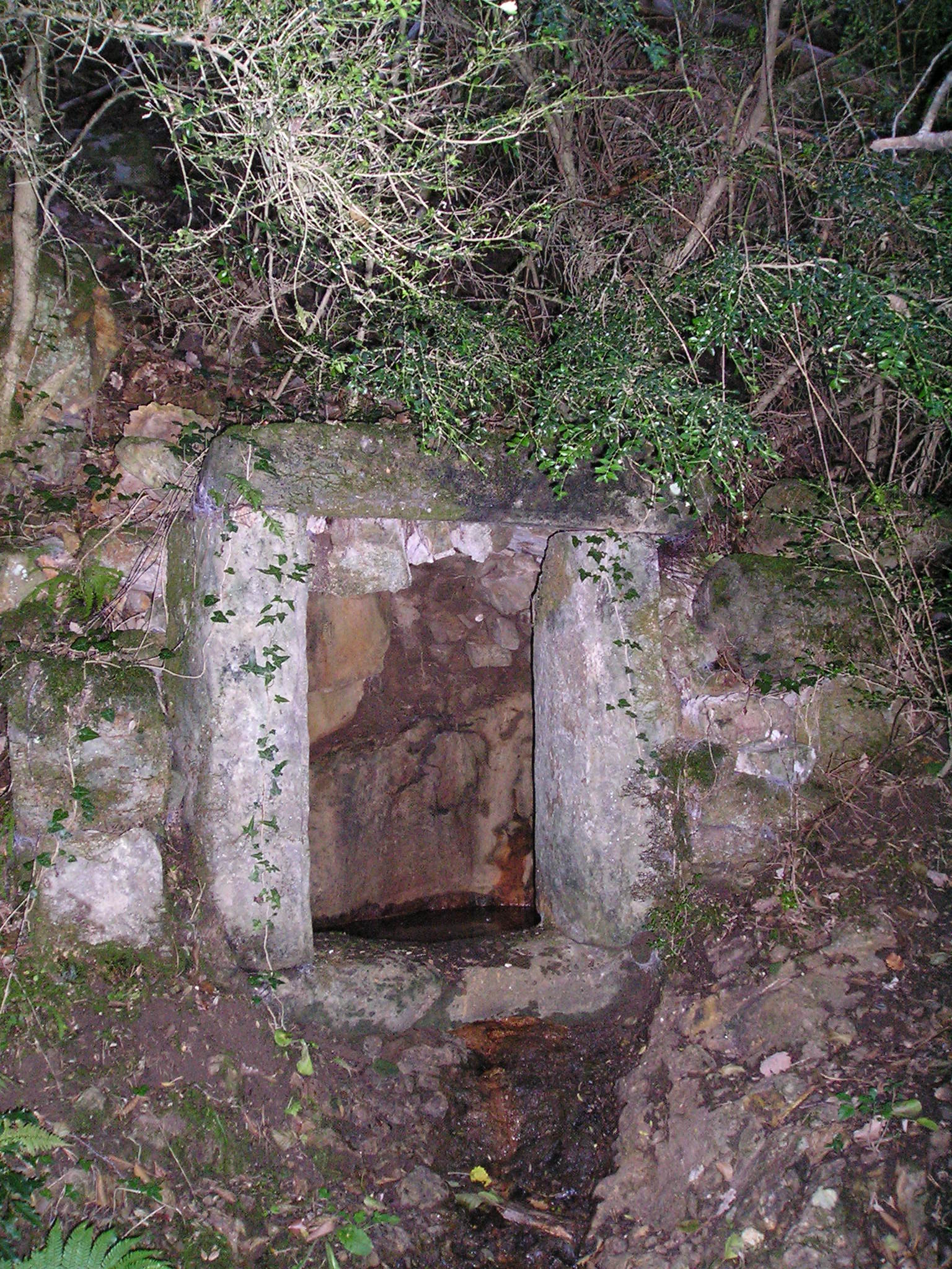 Source de font sala