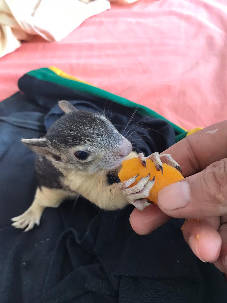 Le centre de soins à travers le monde