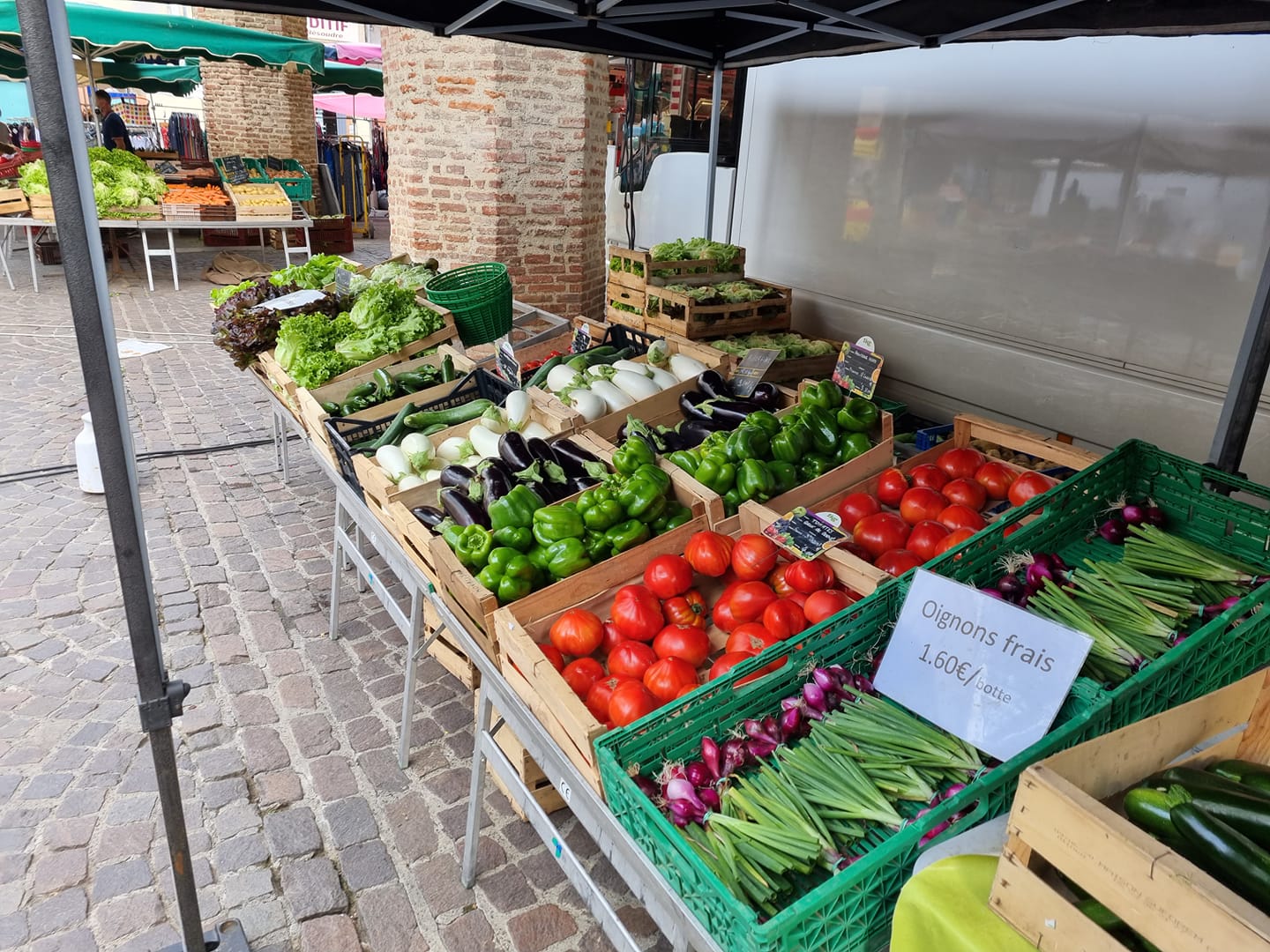 206235855 123043036648651 1520965215868143725 n