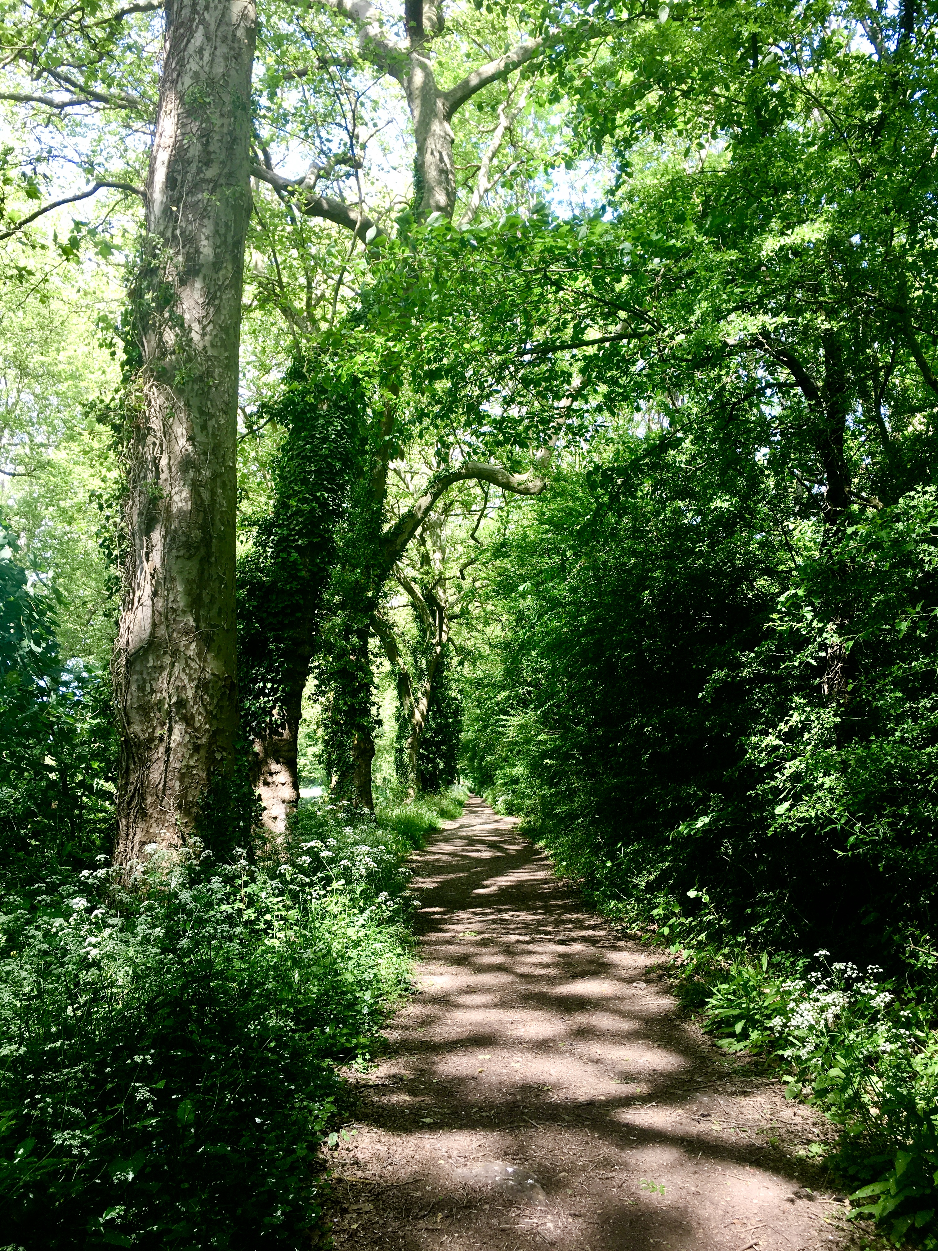 Comment retrouver le Sens de toutes choses 