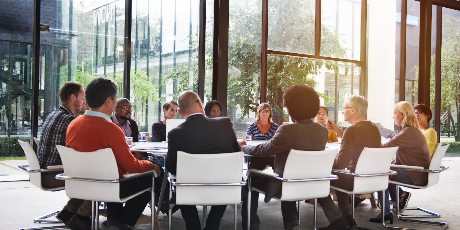 Vignettes-conseil-municipal