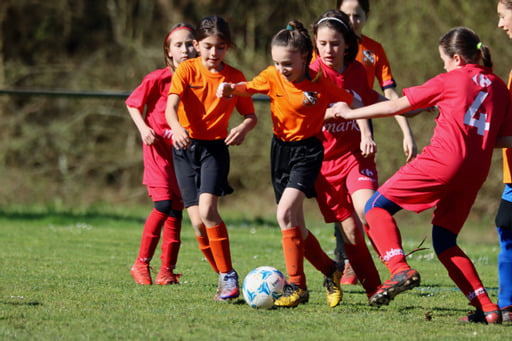 278096163 1897648423753835 7714924801496056263 n