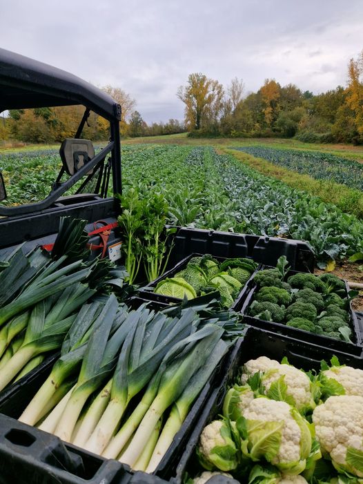 401241984 655114456774837 6025251292892521815 n