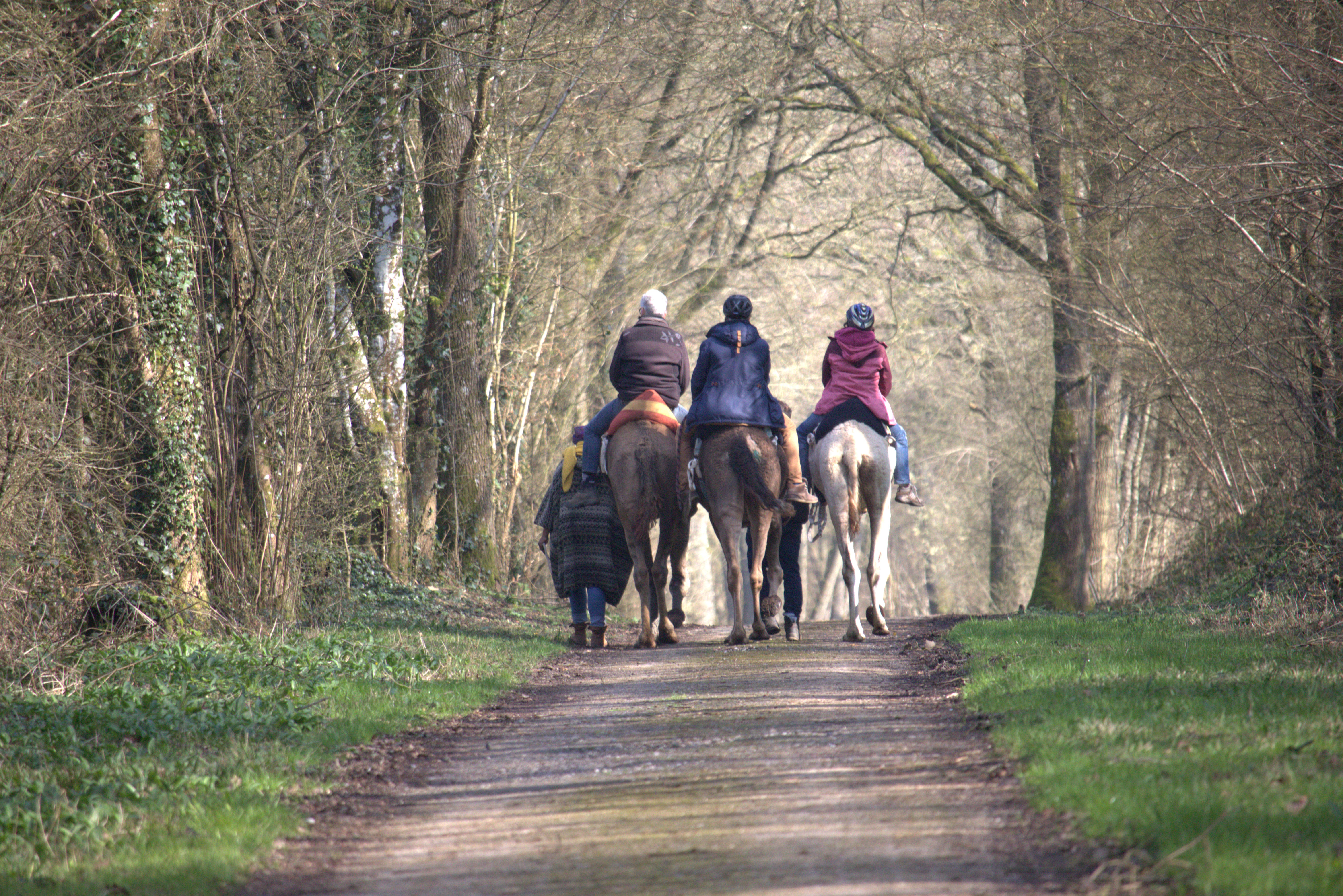 Jardins-d-Helene-a-Proisy-et-les-dromadaires-de-Picardie-2024