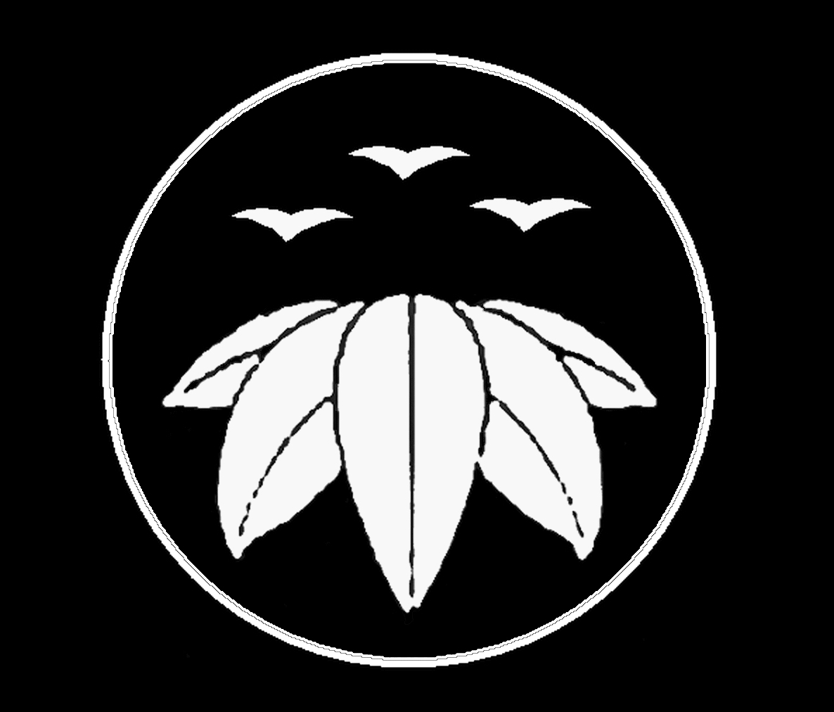 Kamon-ShinDoAikiRyu-noir