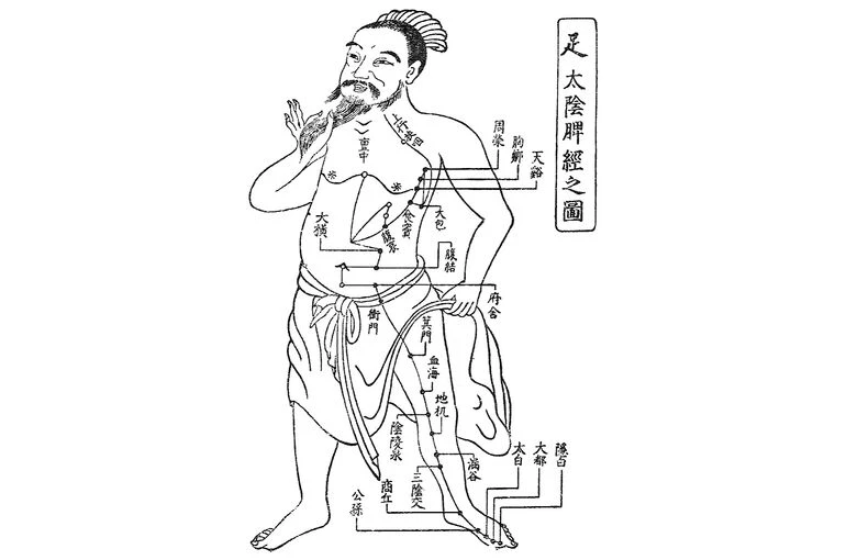 Harikyu-massage-koyori