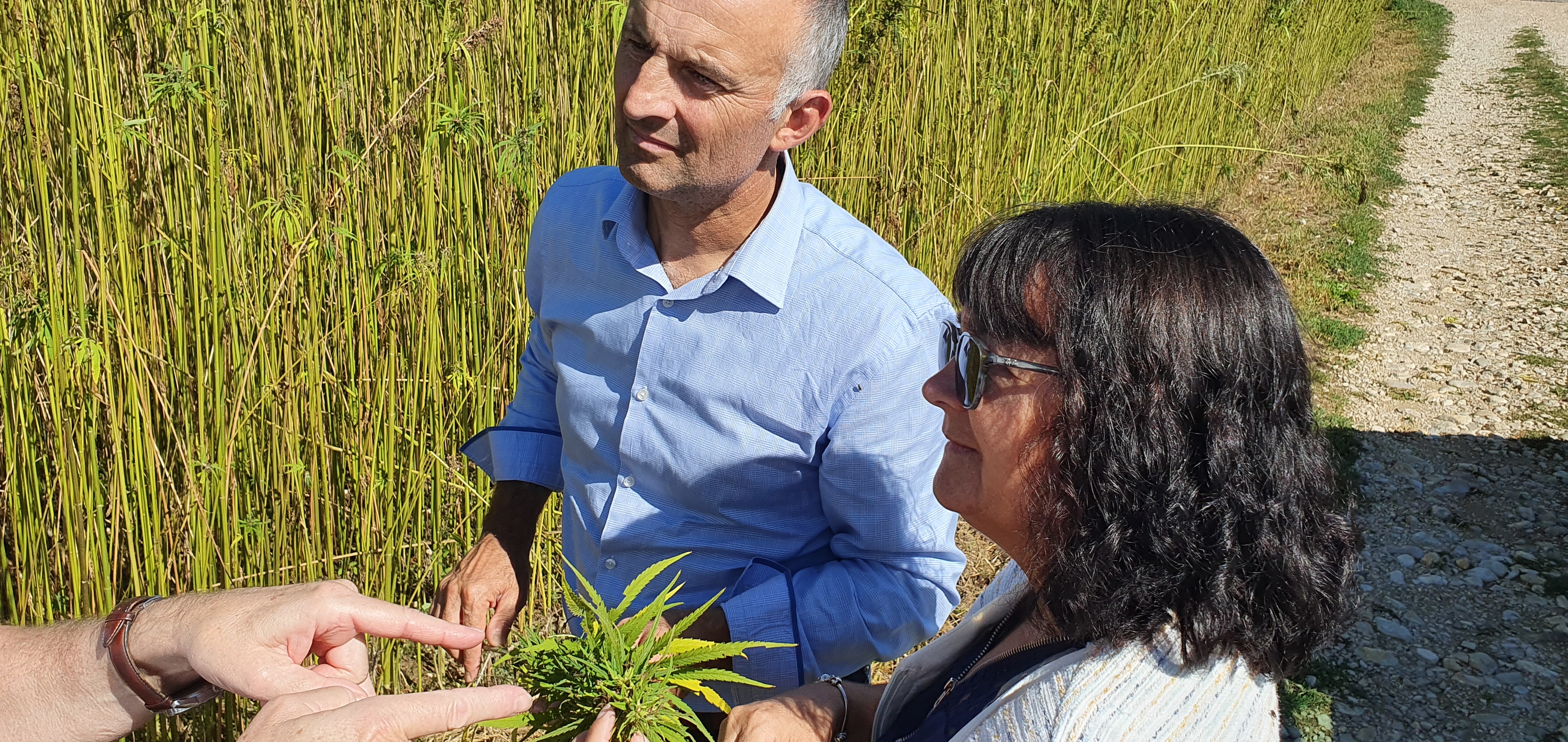 Biosourc dans la construction visite de la maison cholat isre 53914866285 o