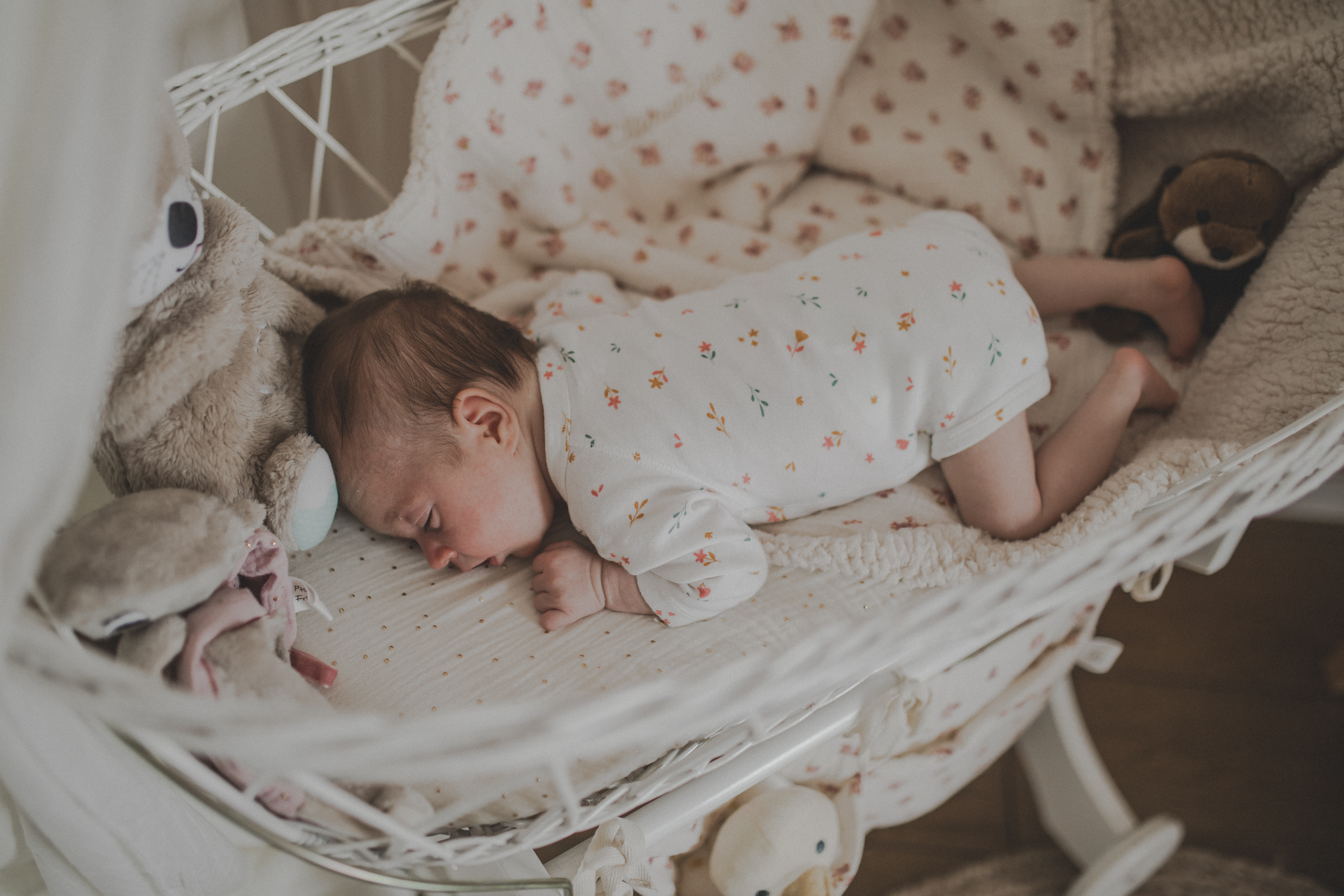 S naissanceekc724 couv 1