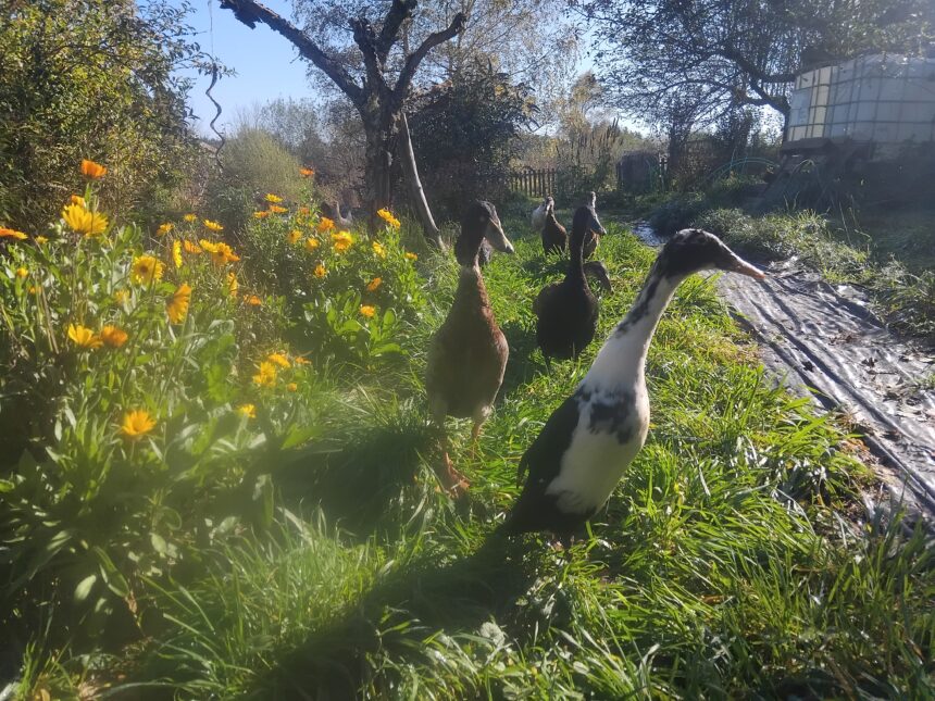 Img 20241031 114652-860x645