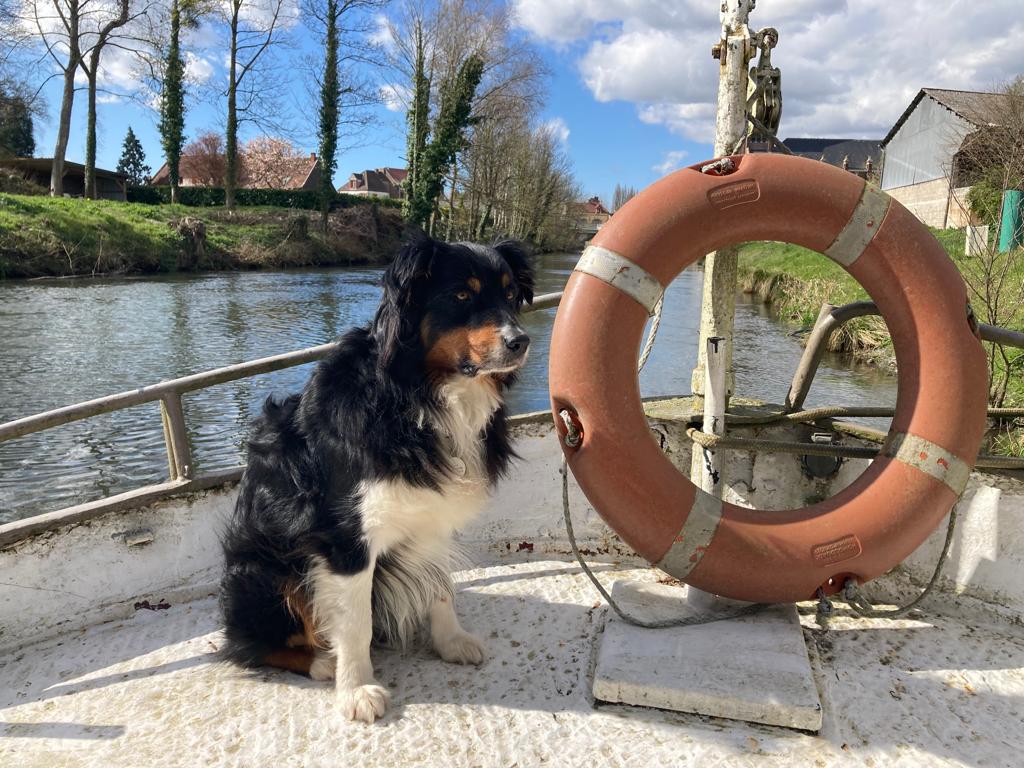 Ulysse-bouee-de-sauvetage