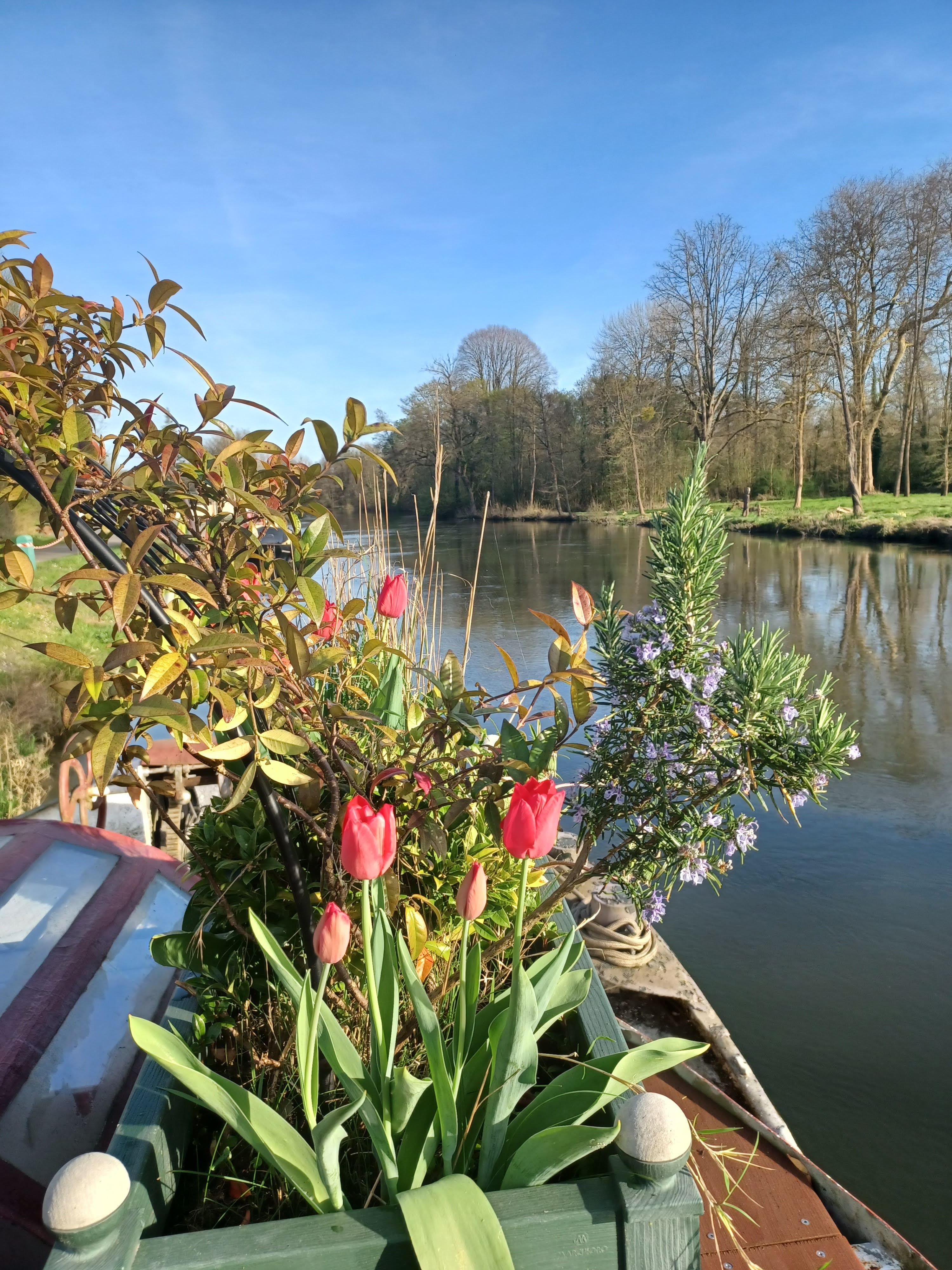 Jardiniere-avant-avril