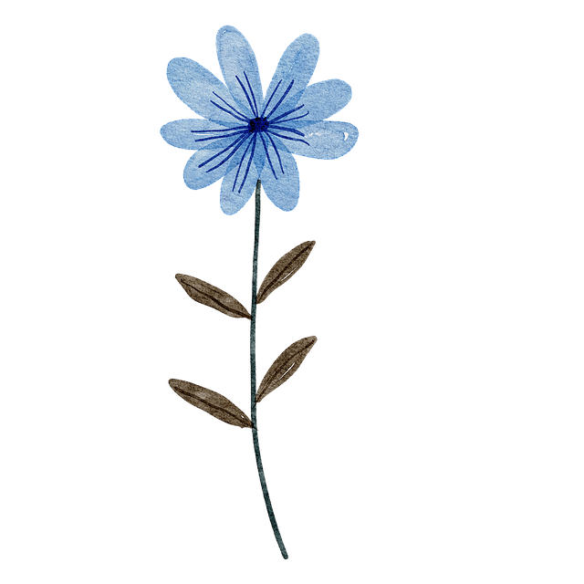 Agnes Guet Naturopathe Blain (44) et en visio. Approche naturelle
