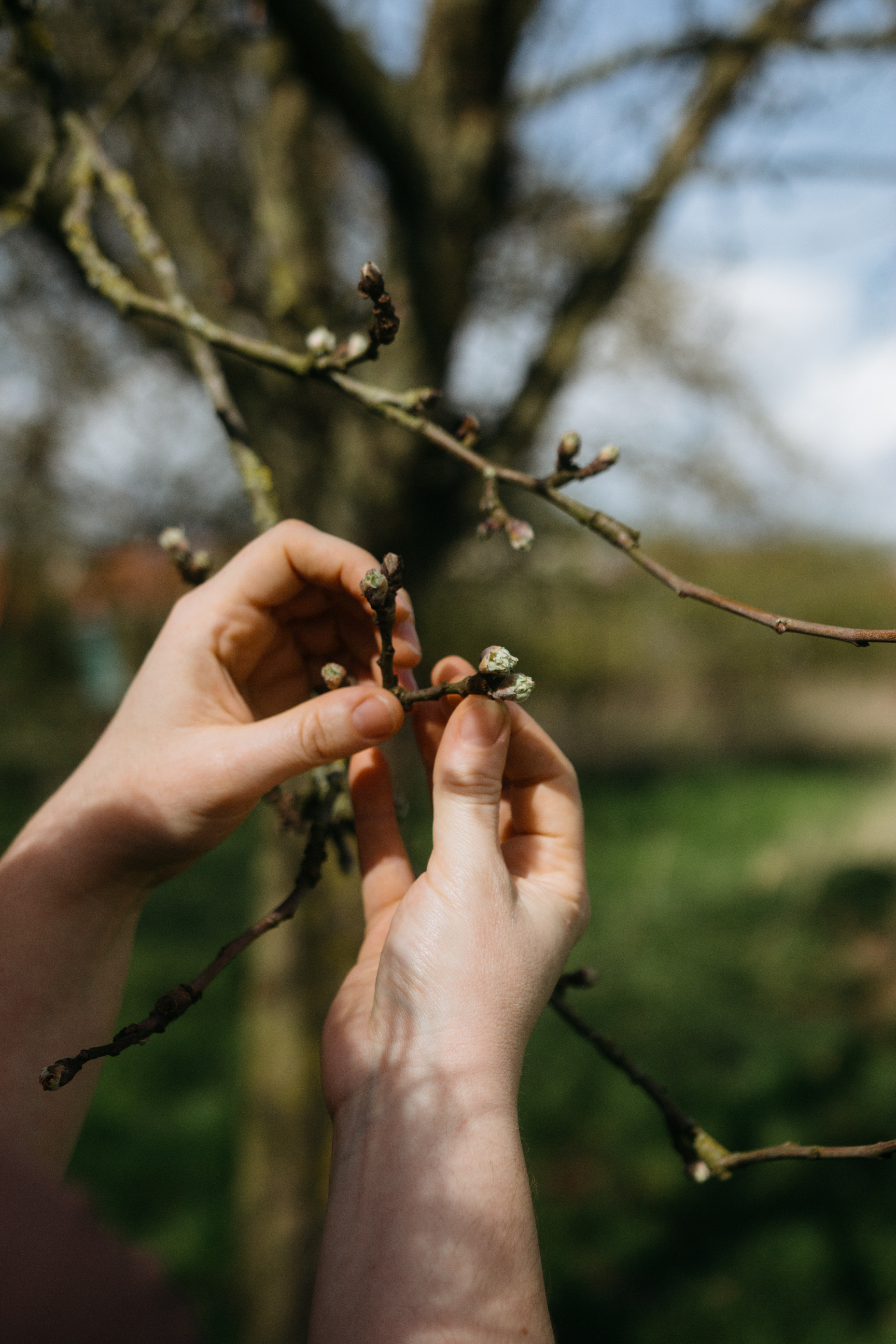 Civam-reportage-florence-2024 04-041