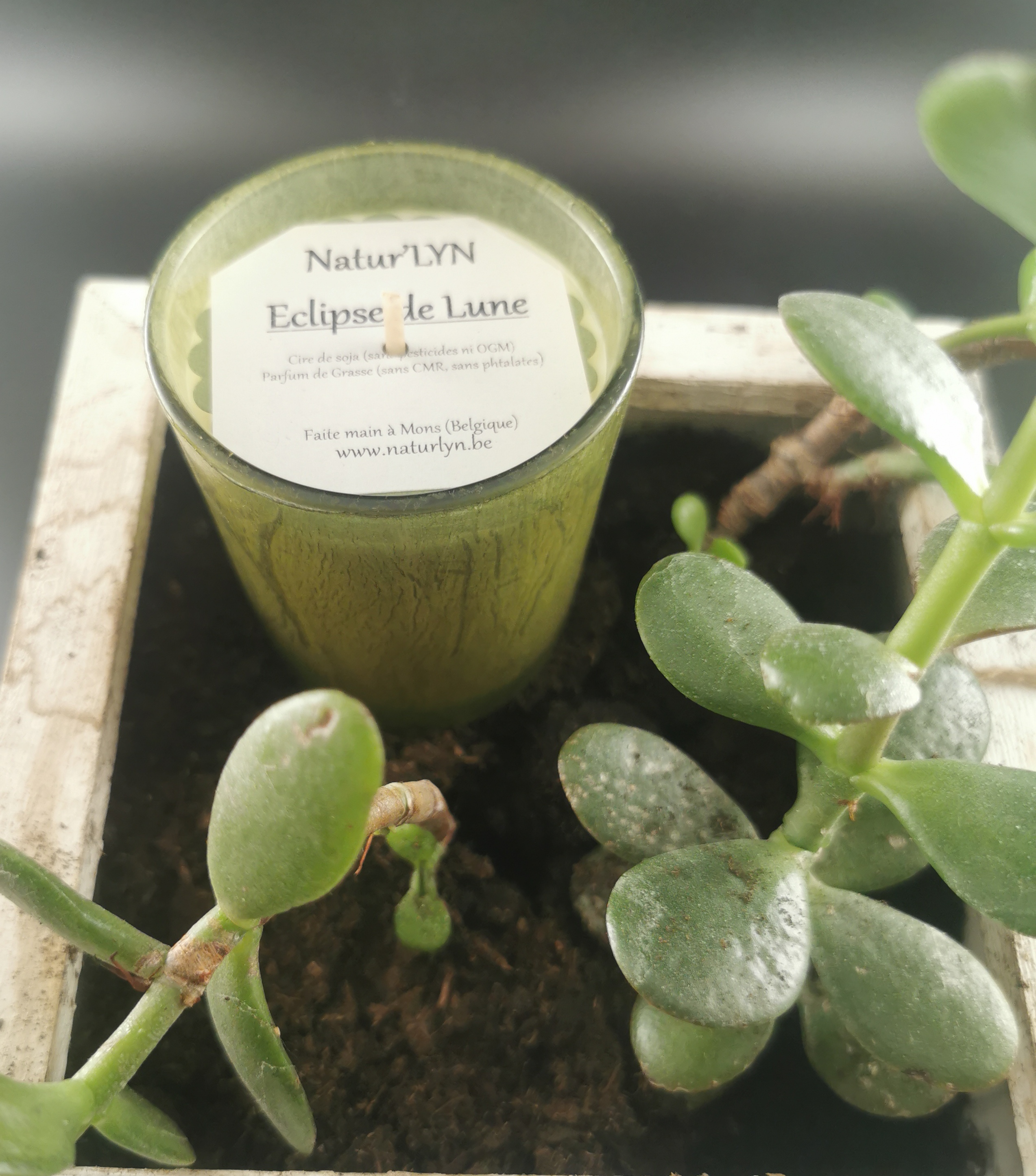 Img 20251110 161540 edit 707291676689985