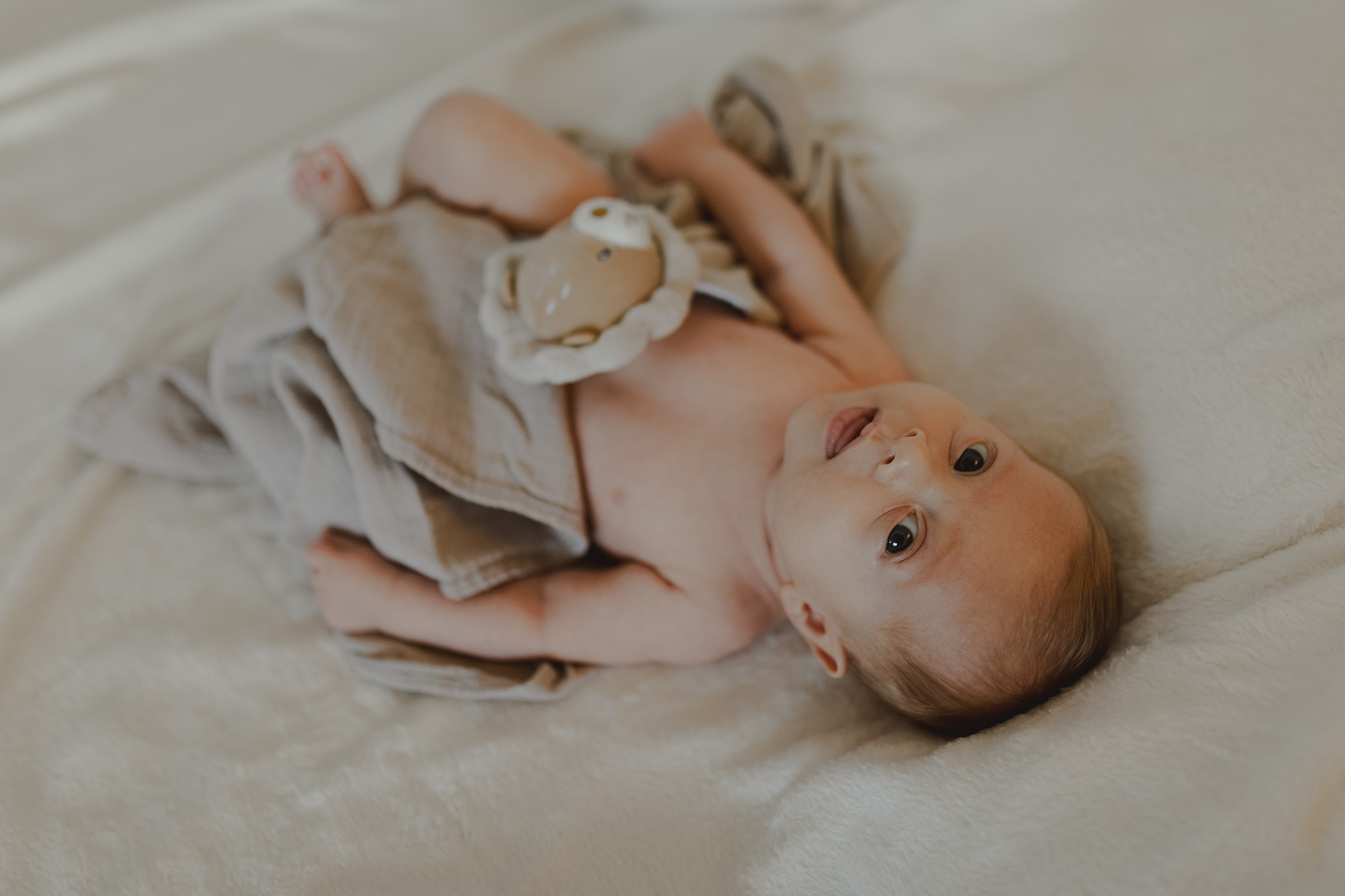 Guillaumeemilienoe1225 web 3